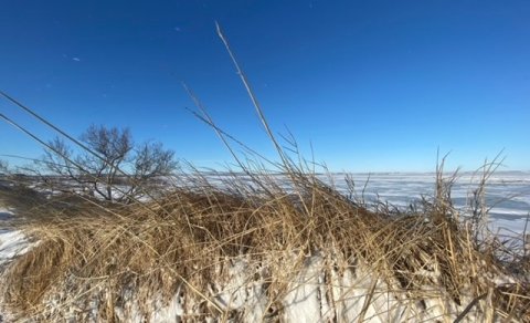 Óskum eftir fulltrúa í Öldungaráð Uppsveita og Flóa