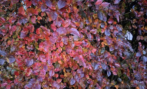 Næsti fundur sveitarstjórnar verður 1. október