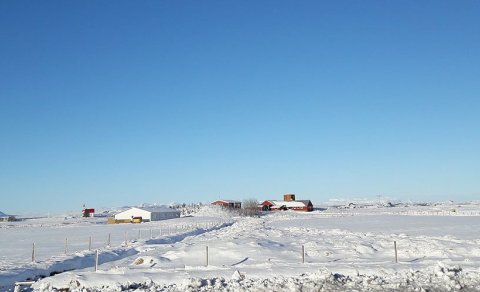 Viðmiðunarreglur vegna snjómoksturs