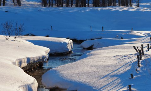 Flóahreppur tekur þátt í Borgað þegar hent er