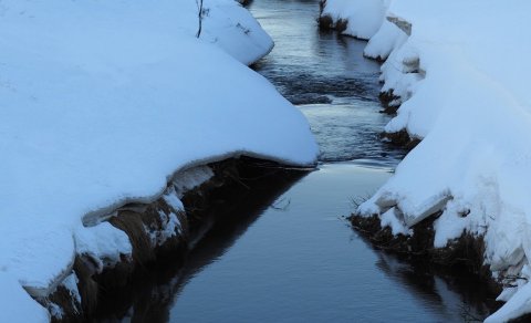 Mynd: Ólafur Ingi Ólafsson, Halakoti, 2023