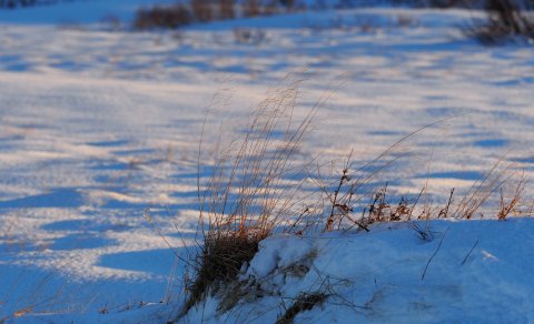 Opinn kynningarfundur á tillögu svæðisskipulagsnefndar fyrir Suðurhálendi