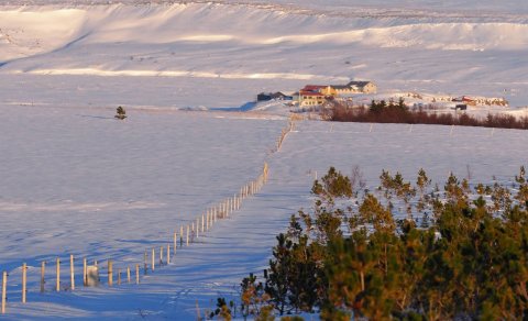 Mynd: Ólafur Ingi Ólafsson Halakoti, 2023