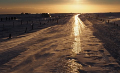 Mynd: Ólafur Ingi Ólafsson, Halakoti, 2023