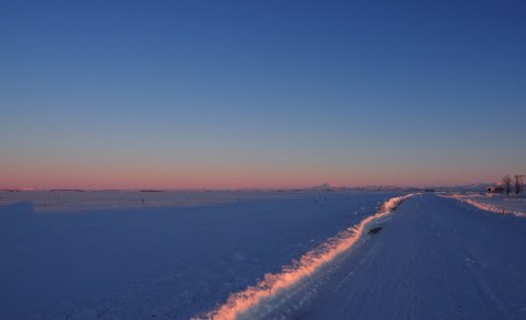 Mynd: Ólafur Ingi Ólafsson, Halakoti 2023