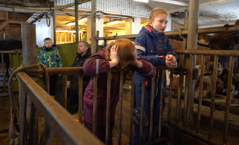 Undirliggjandi minni – Underlaying memory - SÝNING Í FÉLAGSLUNDI